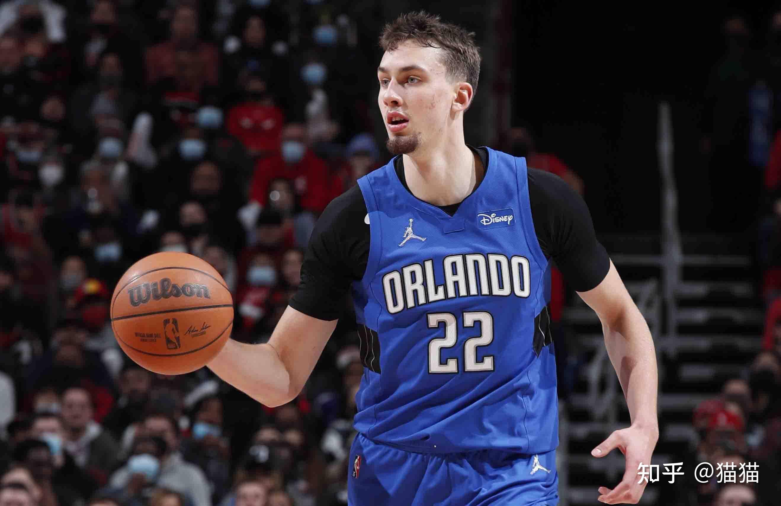 人才的培养 人才的培养