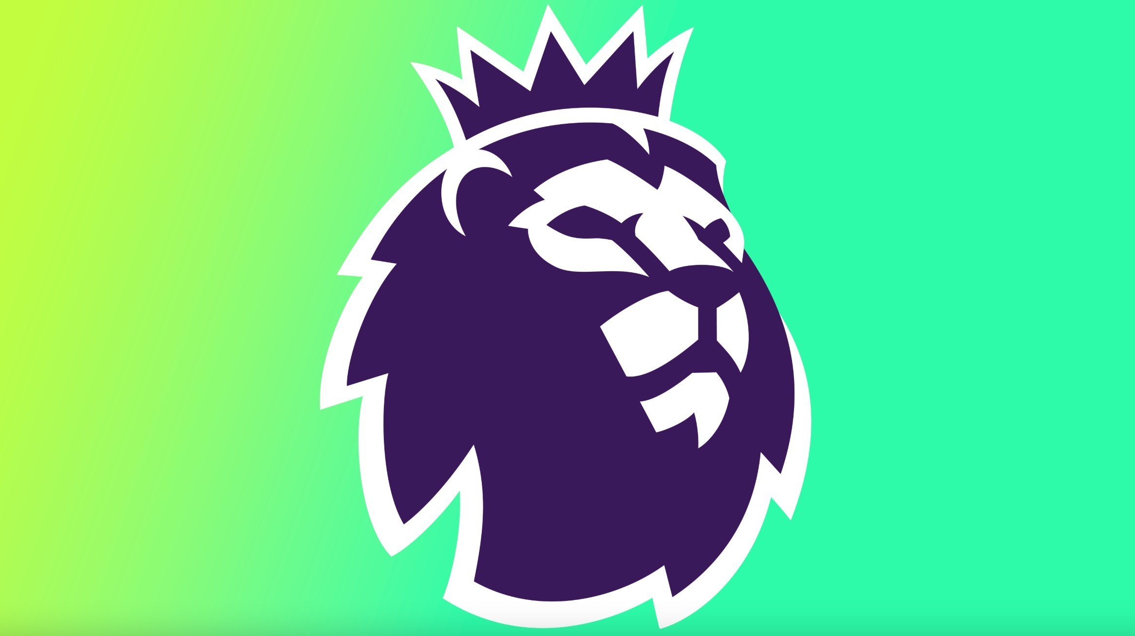 的决心充满 的决心充满