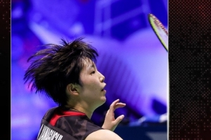 现出极高默
